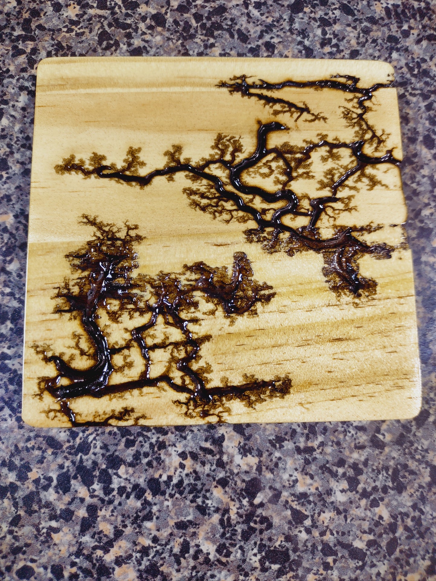 Coaster with Fractal Burn Accents