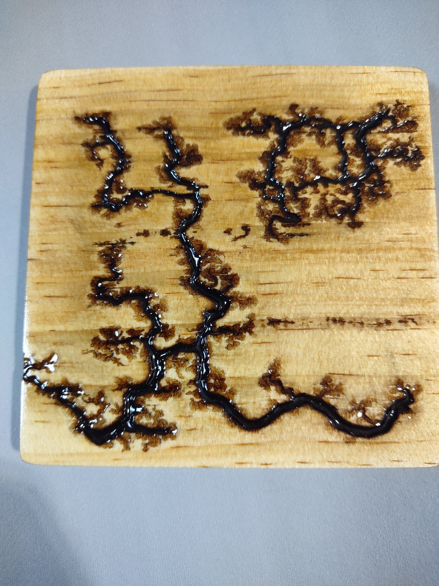 Coaster with Fractal Burn Accents