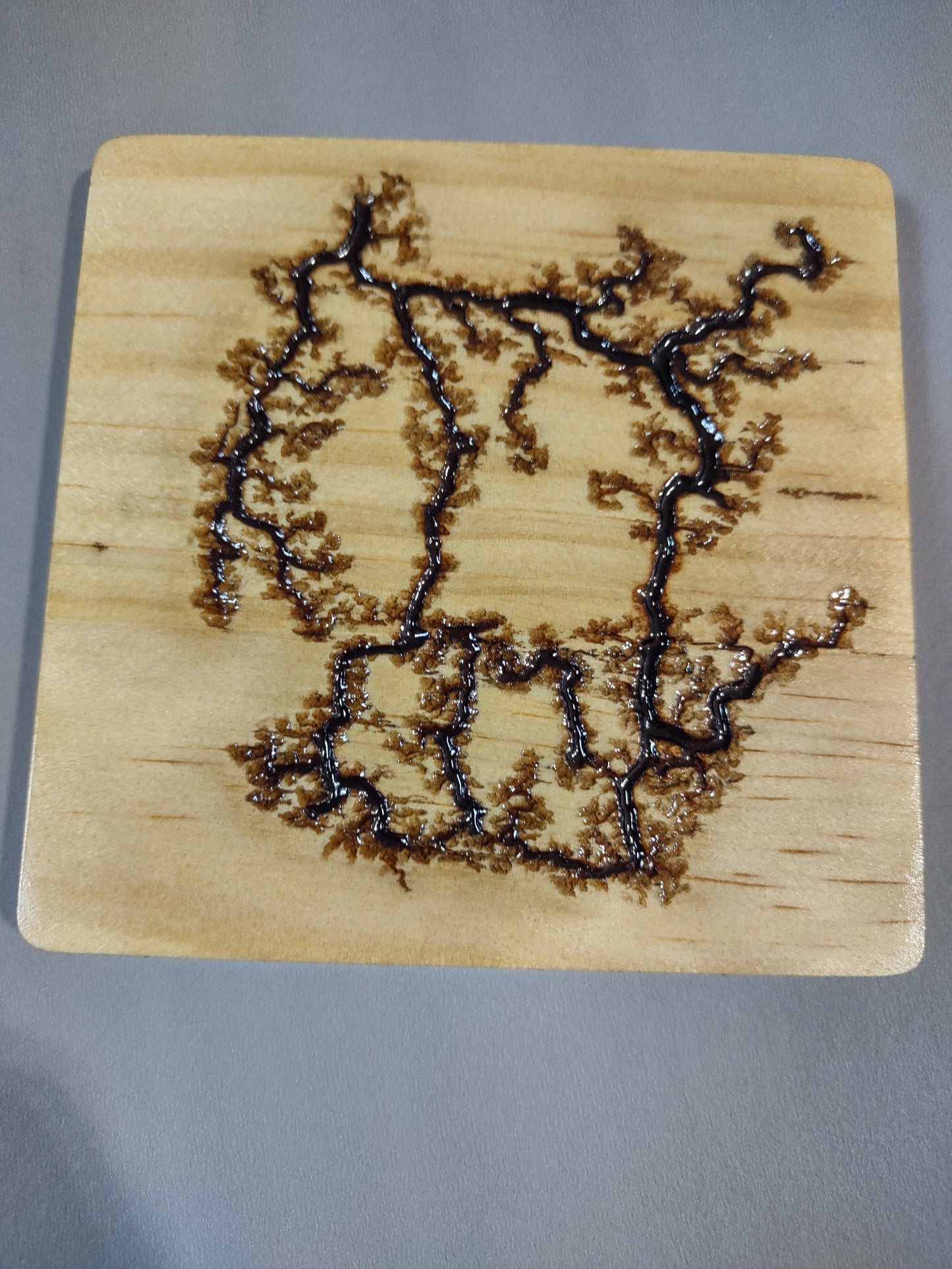 Coaster with Fractal Burn Accents